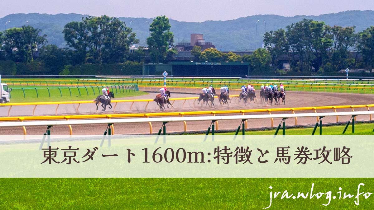 東京競馬イメージ写真