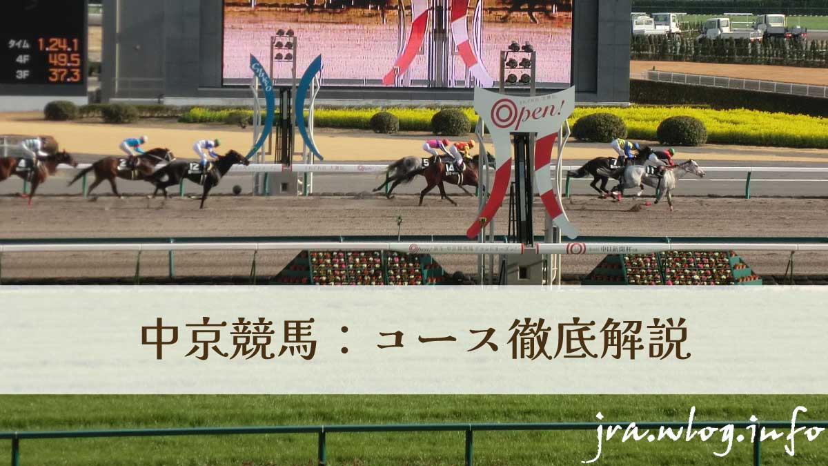 中京競馬場コース写真
