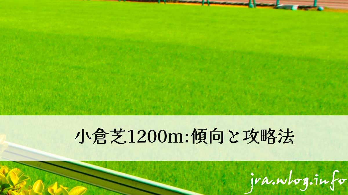 競馬場芝コースイメージ写真