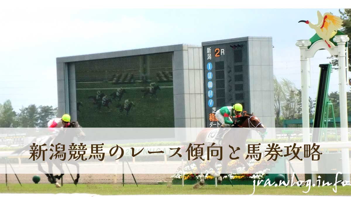 新潟競馬場イメージ